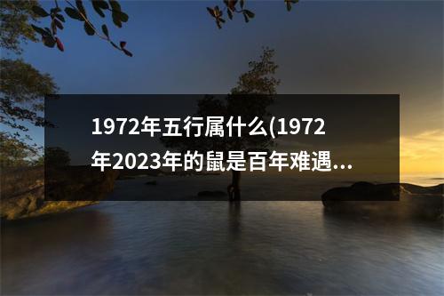 1972年五行属什么(1972年2023年的鼠是百年难遇)