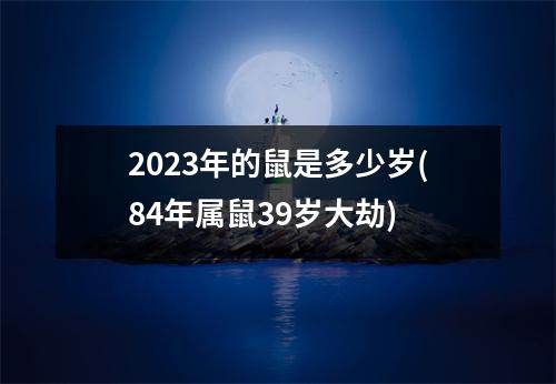 2023年的鼠是多少岁(84年属鼠39岁大劫)