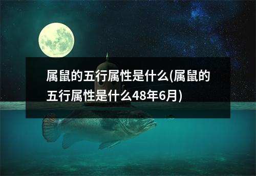 属鼠的五行属性是什么(属鼠的五行属性是什么48年6月)