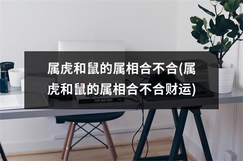 属虎和鼠的属相合不合(属虎和鼠的属相合不合财运)