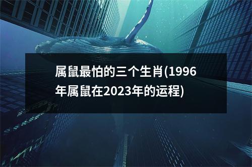 属鼠怕的三个生肖(1996年属鼠在2023年的运程)