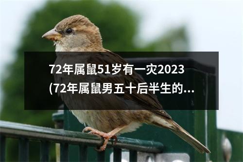 72年属鼠51岁有一灾2023(72年属鼠男五十后半生的婚姻)