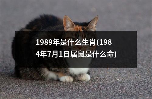 1989年是什么生肖(1984年7月1日属鼠是什么命)