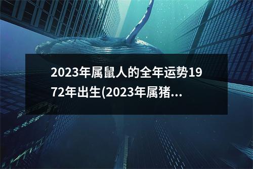 2023年属鼠人的全年运势1972年出生(2023年属猪人的全年运势1983出生)