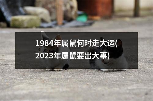 1984年属鼠何时走大运(2023年属鼠要出大事)