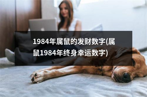 1984年属鼠的发财数字(属鼠1984年终身幸运数字)