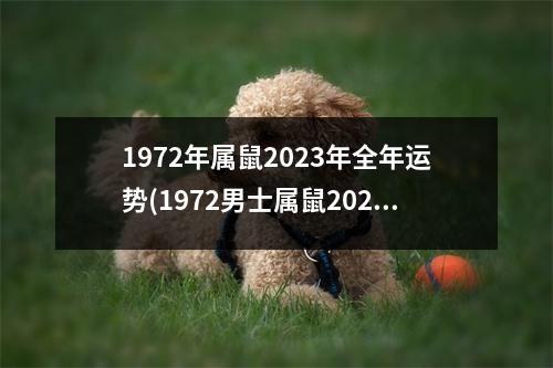 1972年属鼠2023年全年运势(1972男士属鼠2023年整体财运)