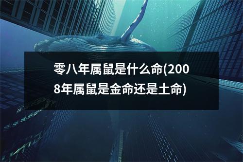 零八年属鼠是什么命(2008年属鼠是金命还是土命)