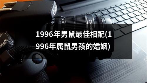 1996年男鼠佳相配(1996年属鼠男孩的婚姻)