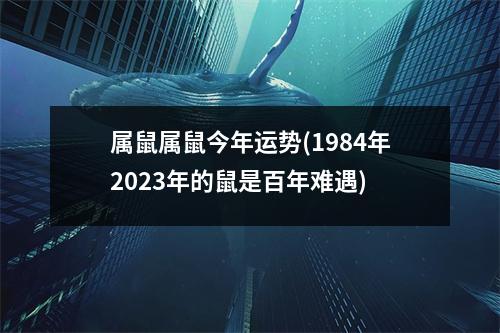 属鼠属鼠今年运势(1984年2023年的鼠是百年难遇)