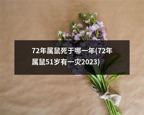 72年属鼠死于哪一年(72年属鼠51岁有一灾2023)