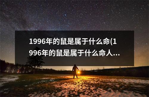 1996年的鼠是属于什么命(1996年的鼠是属于什么命人)