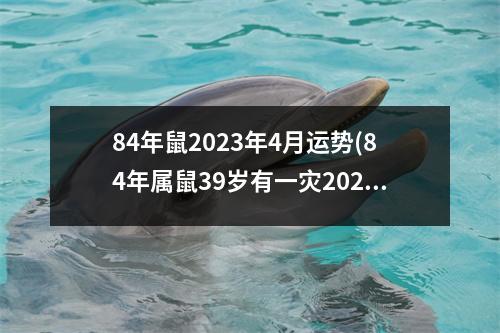 84年鼠2023年4月运势(84年属鼠39岁有一灾2023年)