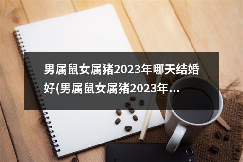 男属鼠女属猪2023年哪天结婚好(男属鼠女属猪2023年哪天结婚好一点)