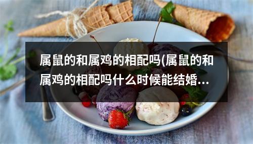 属鼠的和属鸡的相配吗(属鼠的和属鸡的相配吗什么时候能结婚)