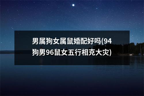 男属狗女属鼠婚配好吗(94狗男96鼠女五行相克大灾)