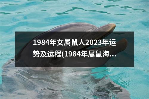 1984年女属鼠人2023年运势及运程(1984年属鼠海中金命五行缺什么)