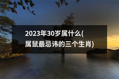 2023年30岁属什么(属鼠忌讳的三个生肖)