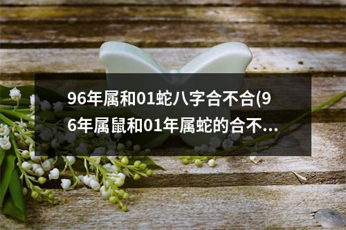 96年属和01蛇八字合不合(96年属鼠和01年属蛇的合不合)