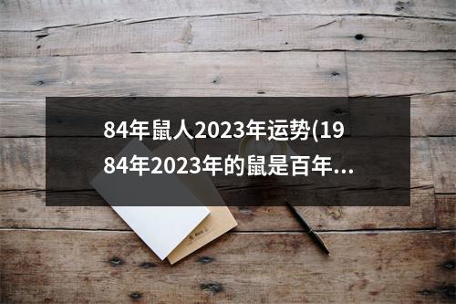 84年鼠人2023年运势(1984年2023年的鼠是百年难遇)