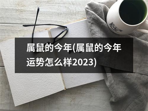 属鼠的今年(属鼠的今年运势怎么样2023)