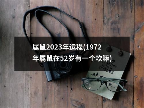 属鼠2023年运程(1972年属鼠在52岁有一个坎嘛)