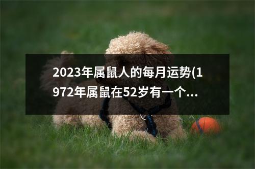 2023年属鼠人的每月运势(1972年属鼠在52岁有一个坎嘛)