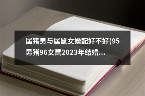 属猪男与属鼠女婚配好不好(95男猪96女鼠2023年结婚好吗)