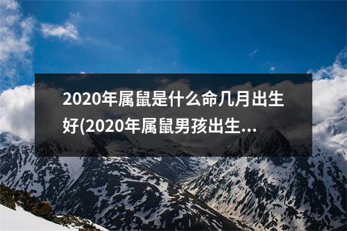 2020年属鼠是什么命几月出生好(2020年属鼠男孩出生几月好)