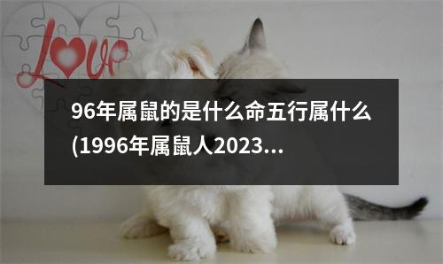 96年属鼠的是什么命五行属什么(1996年属鼠人2023年全年运势运程)