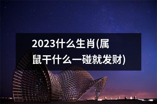 2023什么生肖(属鼠干什么一碰就发财)