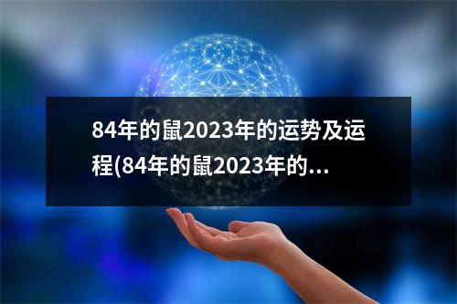 84年的鼠2023年的运势及运程(84年的鼠2023年的运势及运程到底啥时候能好)