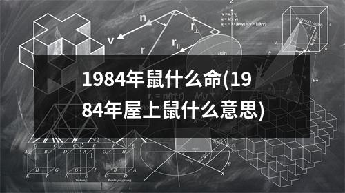 1984年鼠什么命(1984年屋上鼠什么意思)