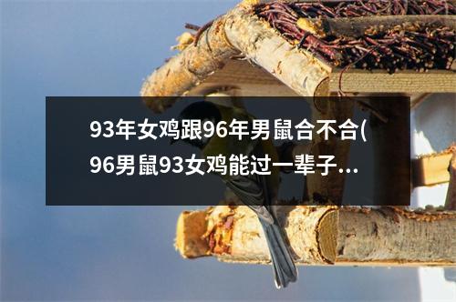 93年女鸡跟96年男鼠合不合(96男鼠93女鸡能过一辈子吗)