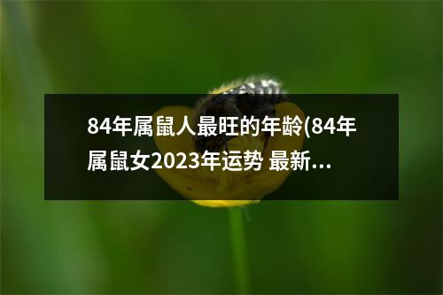 84年属鼠人旺的年龄(84年属鼠女2023年运势 新)