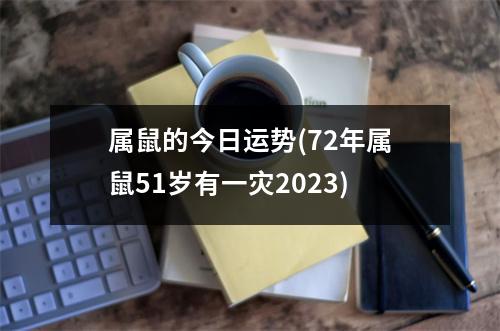 属鼠的今日运势(72年属鼠51岁有一灾2023)