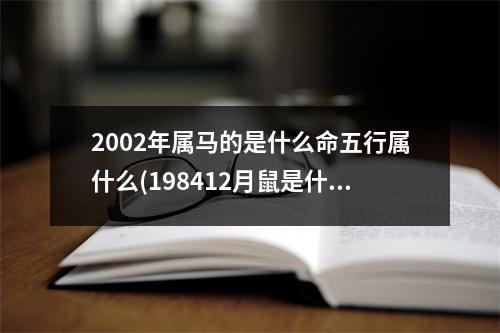 2002年属马的是什么命五行属什么(198412月鼠是什么命女)