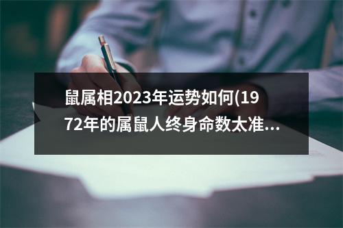 鼠属相2023年运势如何(1972年的属鼠人终身命数太准了)