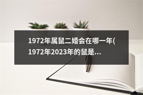 1972年属鼠二婚会在哪一年(1972年2023年的鼠是百年难遇)