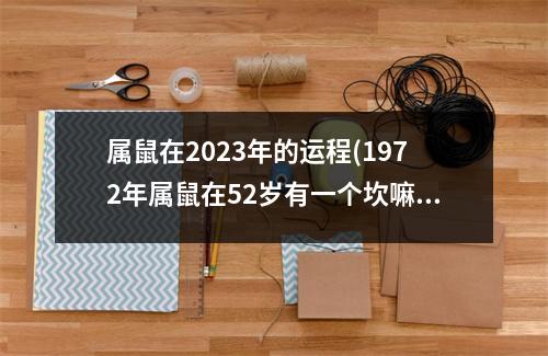 属鼠在2023年的运程(1972年属鼠在52岁有一个坎嘛)