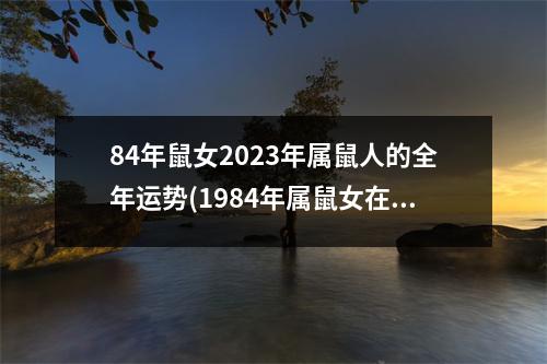 84年鼠女2023年属鼠人的全年运势(1984年属鼠女在2024年运势)