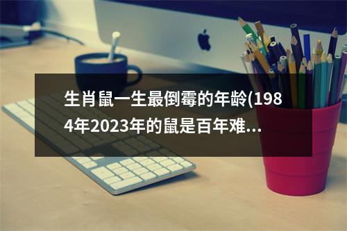 生肖鼠一生倒霉的年龄(1984年2023年的鼠是百年难遇)