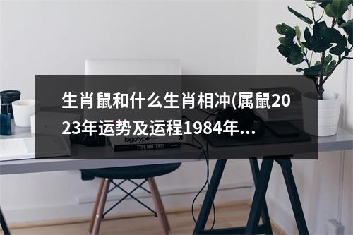 生肖鼠和什么生肖相冲(属鼠2023年运势及运程1984年出生)