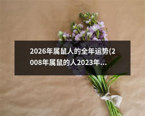 2026年属鼠人的全年运势(2008年属鼠的人2023年运势)