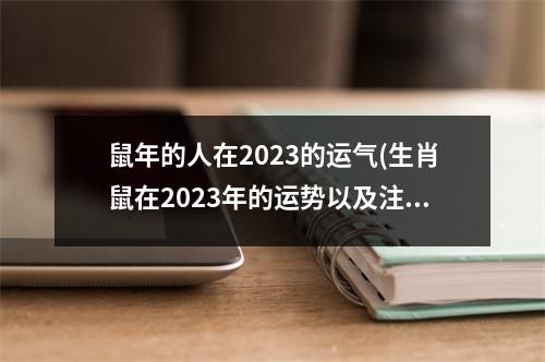 鼠年的人在2023的运气(生肖鼠在2023年的运势以及注意月份)