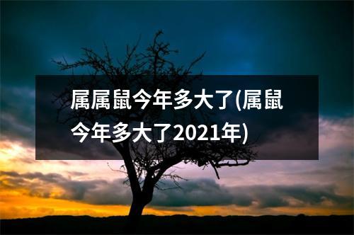 属属鼠今年多大了(属鼠今年多大了2021年)