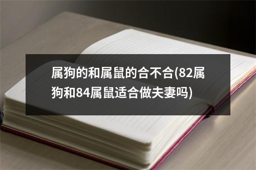 属狗的和属鼠的合不合(82属狗和84属鼠适合做夫妻吗)