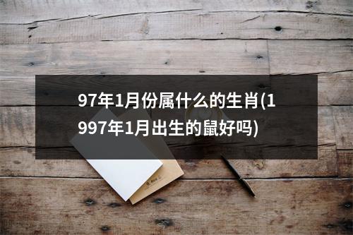 97年1月份属什么的生肖(1997年1月出生的鼠好吗)