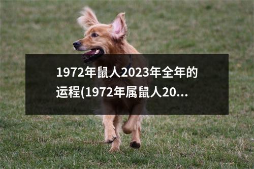 1972年鼠人2023年全年的运程(1972年属鼠人2023年运势运程每月运程)