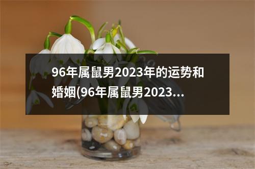 96年属鼠男2023年的运势和婚姻(96年属鼠男2023年的运势和婚姻如何)